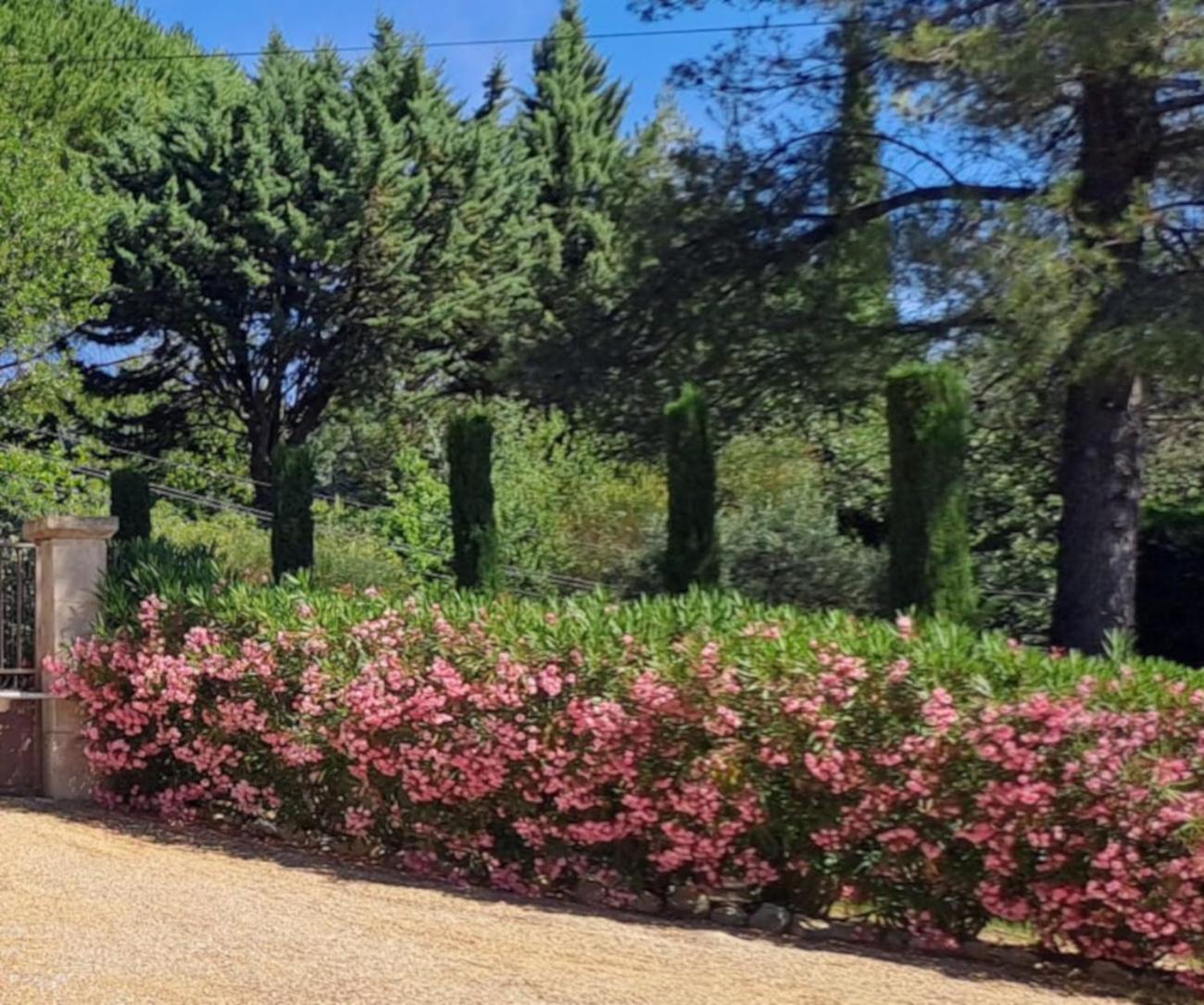 مبيت وإفطار سا سيتيورنا دابت Les Cerises المظهر الخارجي الصورة